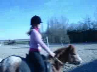 entrainements au bois chesnot