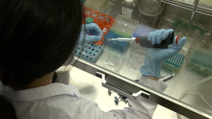 동물도 생명!...동물 실험 대체 신기술 봇물 / YTN