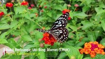 Bukit Berbunga - Uci Bing Slamet (Lirik) | Cover Elma