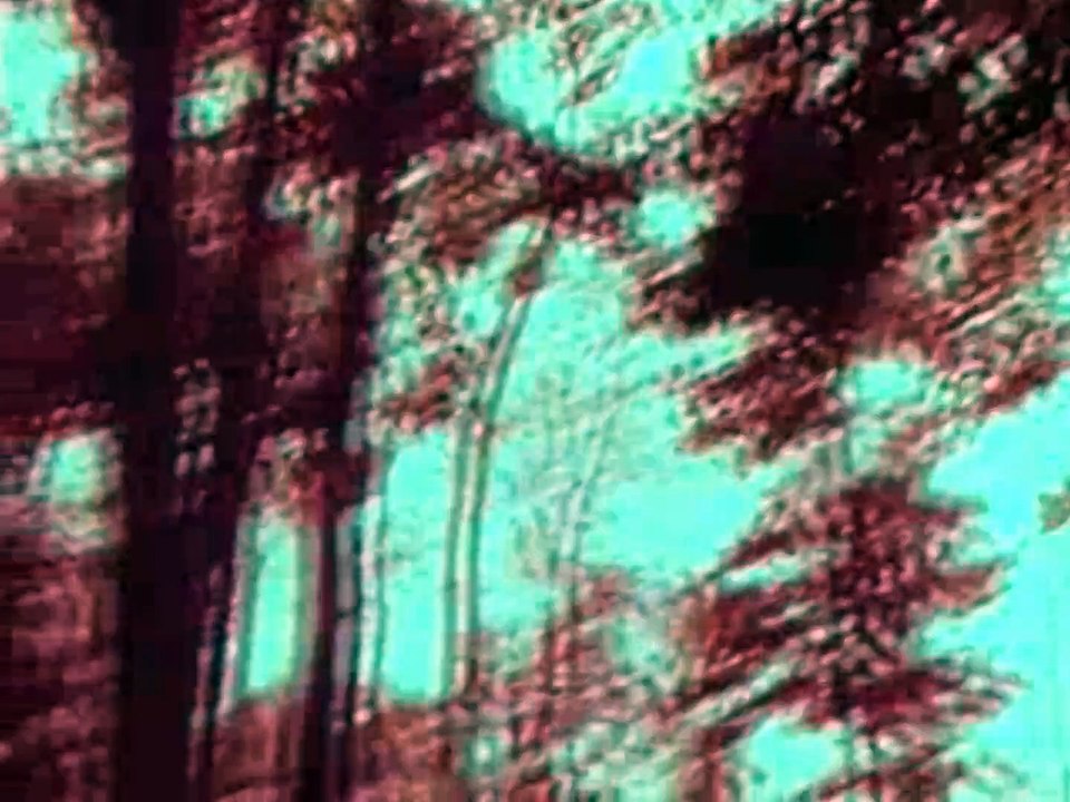 Say Hello Wave Goodbye