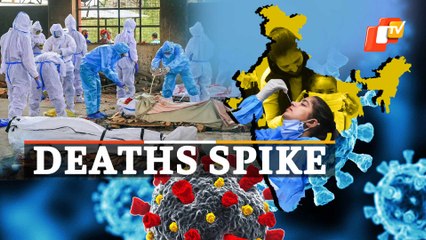 Covid Update For May 28: Daily Cases Decline As Deaths Increase