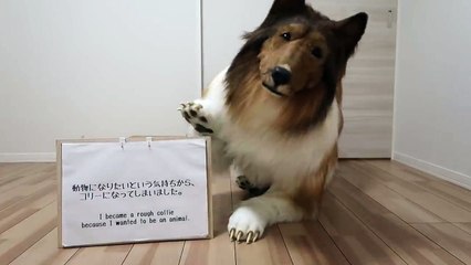 Akıllara durgunluk veren olay! Adam köpeğe dönüştü