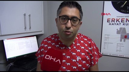 Sürü halinde gezen köpekler kedileri canlı canlı parçaladı! Bunlara ne zaman çözüm bulunacak? O anlar anbean kamerada