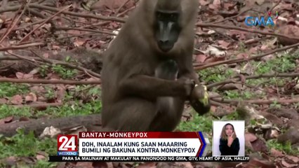 Bureau of Immigration, handa raw maghigpit para mapigilan ang pagpasok ng Monkeypox sa Pilipinas| 24 Oras Weekend