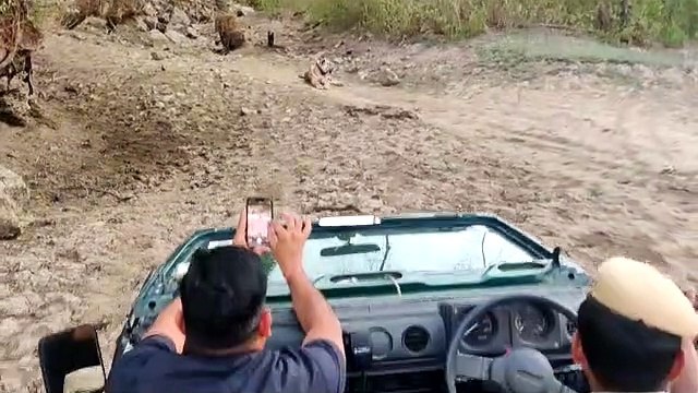 Video: पर्यटन मंत्री विश्वेन्द्र सिंह पहुंचे सरिस्का, नजर आई बा​घिन एसटी-9, पांडुपोल हनुमान मंदिर के दर्शन किए