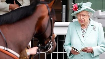 Queen shows off her dry wit with jibe at horse 'Could run faster than it in gumboots'
