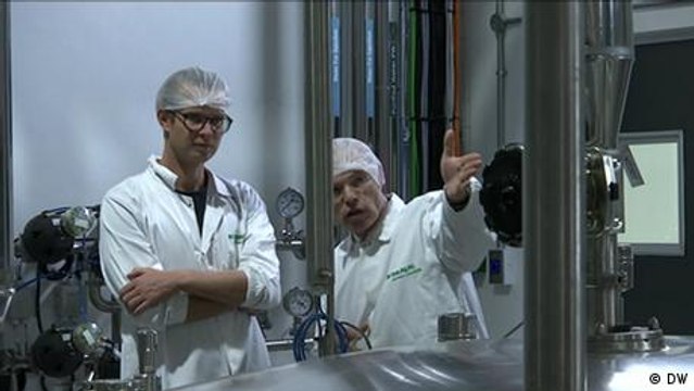 What attracts German companies to South Africa?