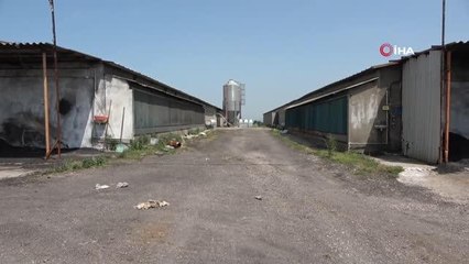 Tavuk çiftliğinde akraba cinayeti: Kafasına kürekle vurup gözlerini oydu, öldürdüğü kadının kocasını teselli ederken yakalandı