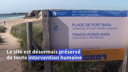 En France, une première "réserve de vagues" émerge dans le Morbihan