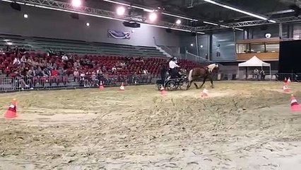 Spectacle équestre à la Foire Comtoise 2022