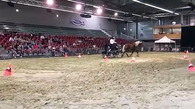 Spectacle équestre à la Foire Comtoise 2022