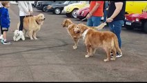 Amigos e seguidores se reúnem no autódromo em tarde de homenagens para Jesse Koz e Shurastey