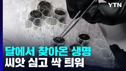 달 토양에서도 식물 싹 틔웠다!...식물 재배 최초 성공 / YTN