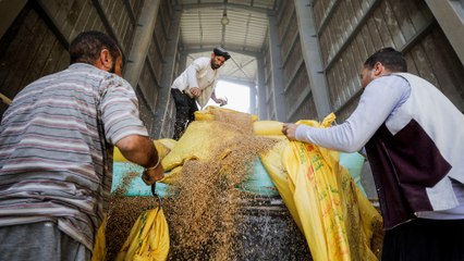الحرب الروسية على أوكرانيا تفاقم أزمة الخبز في مصر