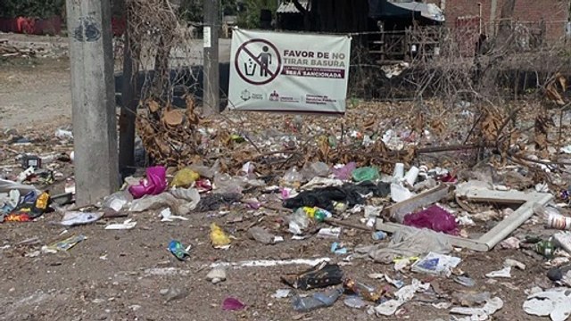 Vecinos de la colonia el Progreso y Lagunas piden reparar sus calles| CPS Noticias Puerto Vallarta