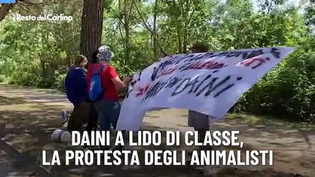Daini a Lido di Classe, la protesta degli animalisti