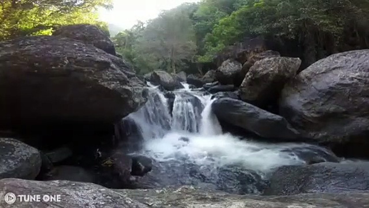 Relaxing Piano Music 01| Background Music To Improve Concentration