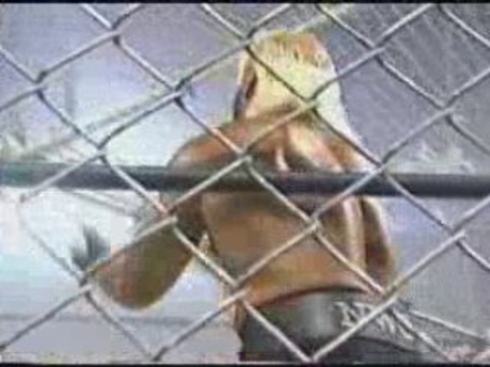 WCW - nWo Hollywood vs nWo Wolfpack vs Team DDP (part 2)