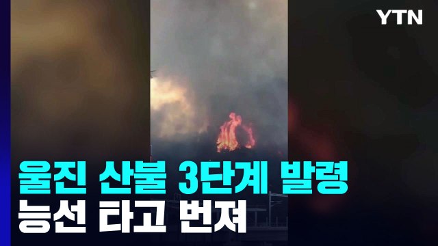 경북 울진 산불 진화율 60%...헬기 투입 재개 / YTN