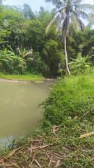 Survey spot mancing ikan wader
