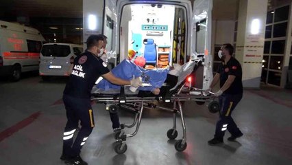 Havalar ısınınca ortaya çıktı: Gece uykudayken akrep soktu