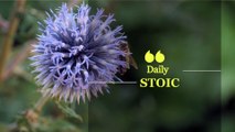 Daily Stoic 007 - The Obstacle Is The Way (Stoicisme)