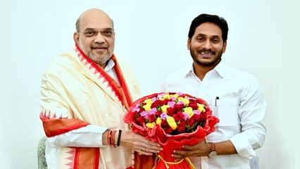 Amit Shah ను కలిసిన CM YS Jagan కీలక అంశాలపై చర్చలు!  #Politics | Oneindia Telugu