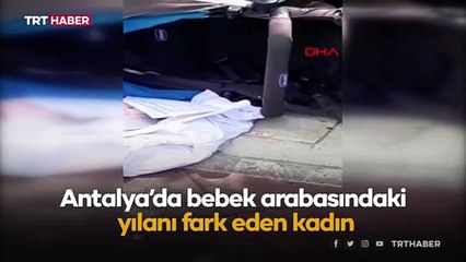 Isparta'da bebek arabasından yılan çıktı