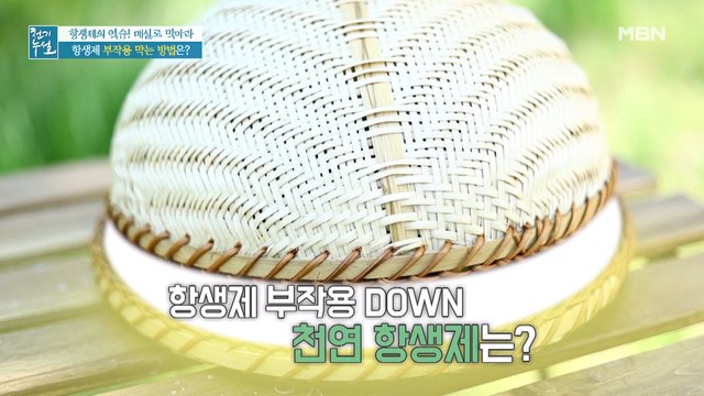 항생제 부작용 줄여주는 '천연 항생제'의 정체는? (ft. 항균력 실험)