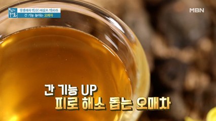 간 기능 UP! 피로 해소 돕는 오매 섭취법 [오매차]