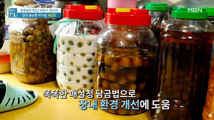 설탕이 적어도 발효가 된다? ○○ 활용한 [매실청]