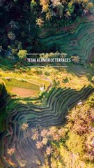 Top Must-Visit Travel Destinations in Bali 🌴