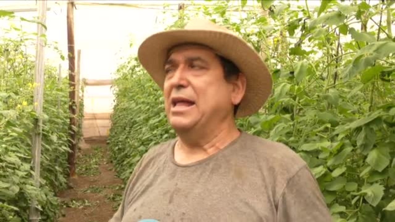 El Gobierno planea introducir a extranjeros en el mercado laboral