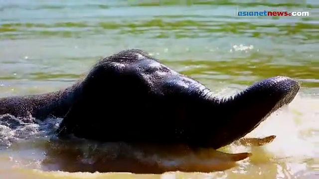 സ്‌കൂൾ കലോത്സവത്തിന് ഏഷ്യാനെറ്റ് ന്യൂസ് ഓൺലൈനും ഒരുങ്ങി