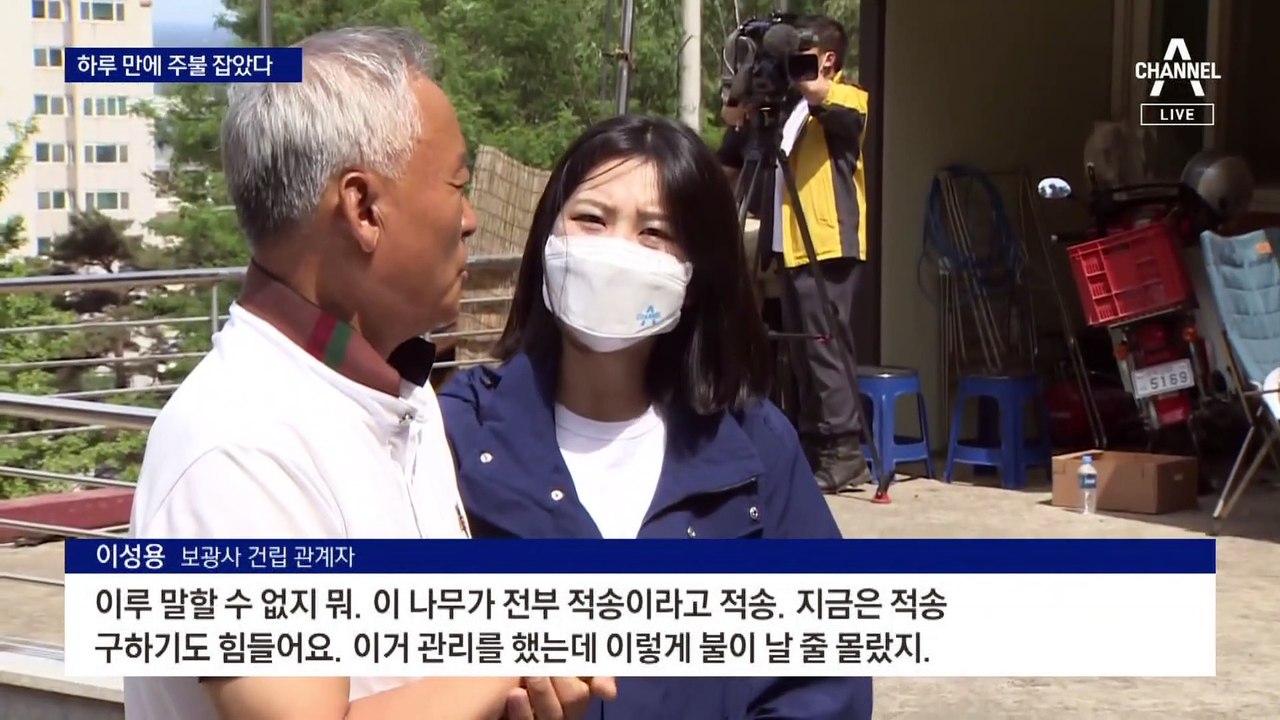 축구장 203개 면적 잿더미…울진 산불, 하루 만에 주불 진화