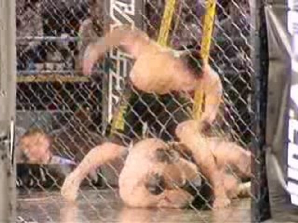XCC Hilights: Ring Girls and Fighters by SOBE No Fear