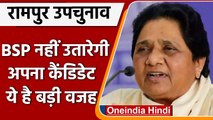 Lok Sabha Bypoll Election: Mayawati का फैसला, Rampur में BSP का नहीं होगा कैंडिडेट | वनइंडिया हिंदी