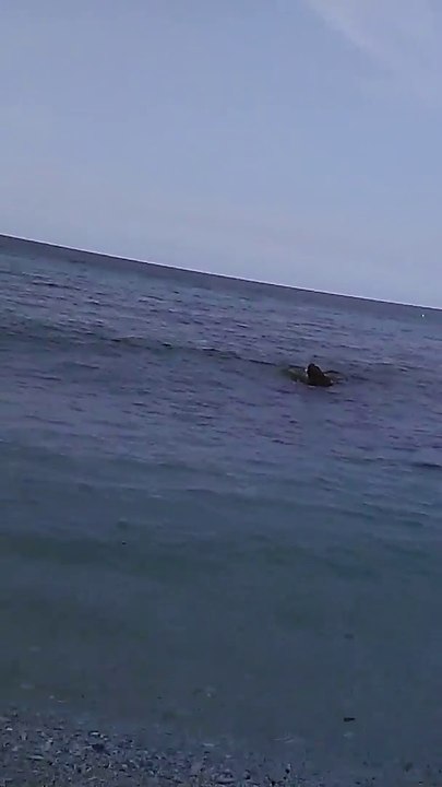 Pantai Batu Putih Alor Nusa Tenggara Timur #Alor