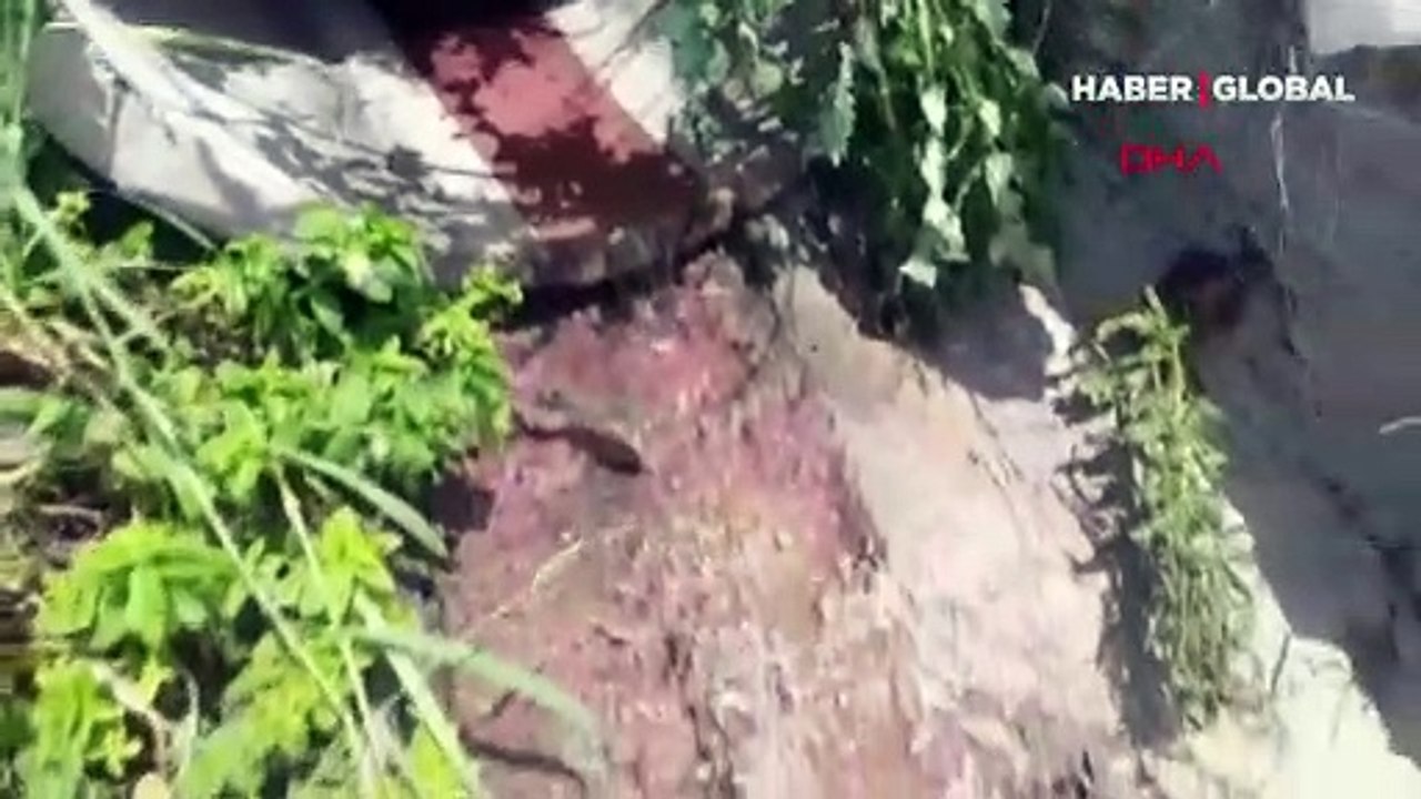 Tekirdağ'da kırmızı akan kanalda inceleme