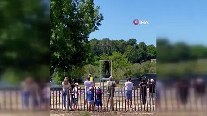 'Uçan adam' Zapata, 15 metre yüksekten göle çakıldı