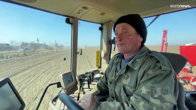 Как вырастить и вывезти зерно во время войны