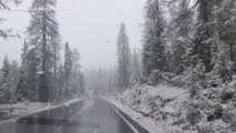 Maltempo, abbondante nevicata fuori stagione sulle Dolomiti bellunesi