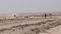 كاميرا العربية ترصد انحسار المياه في بحيرة حمرين العراقية