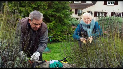 MIS QUERIDÍSIMOS HIJOS - Tráiler Español [HD] (2022)