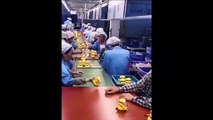 Responsable qualité dans une usine de Minions