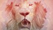 Wanna see some amazing lions? Watch this top 10 majestic lions compilation ^^