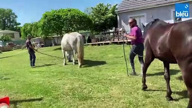 Chablis en course ce mardi pour la fête de la Bague