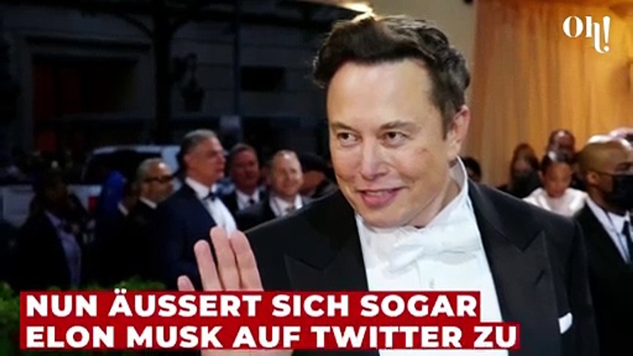 Elon Musk über Johnny Depp und Amber Heard