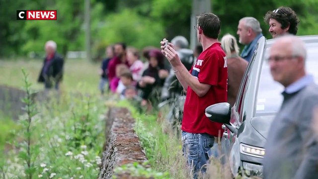 L'orque bloqué depuis plusieurs semaines dans la Seine va être euthanasié après l'échec de l'opération de sauvetage tentée samedi