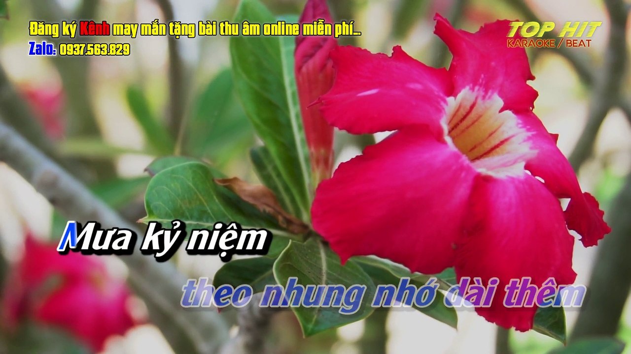 Mưa Qua Phố Vắng Remix Karaoke Tone Nam Nhạc Sống Chuẩn